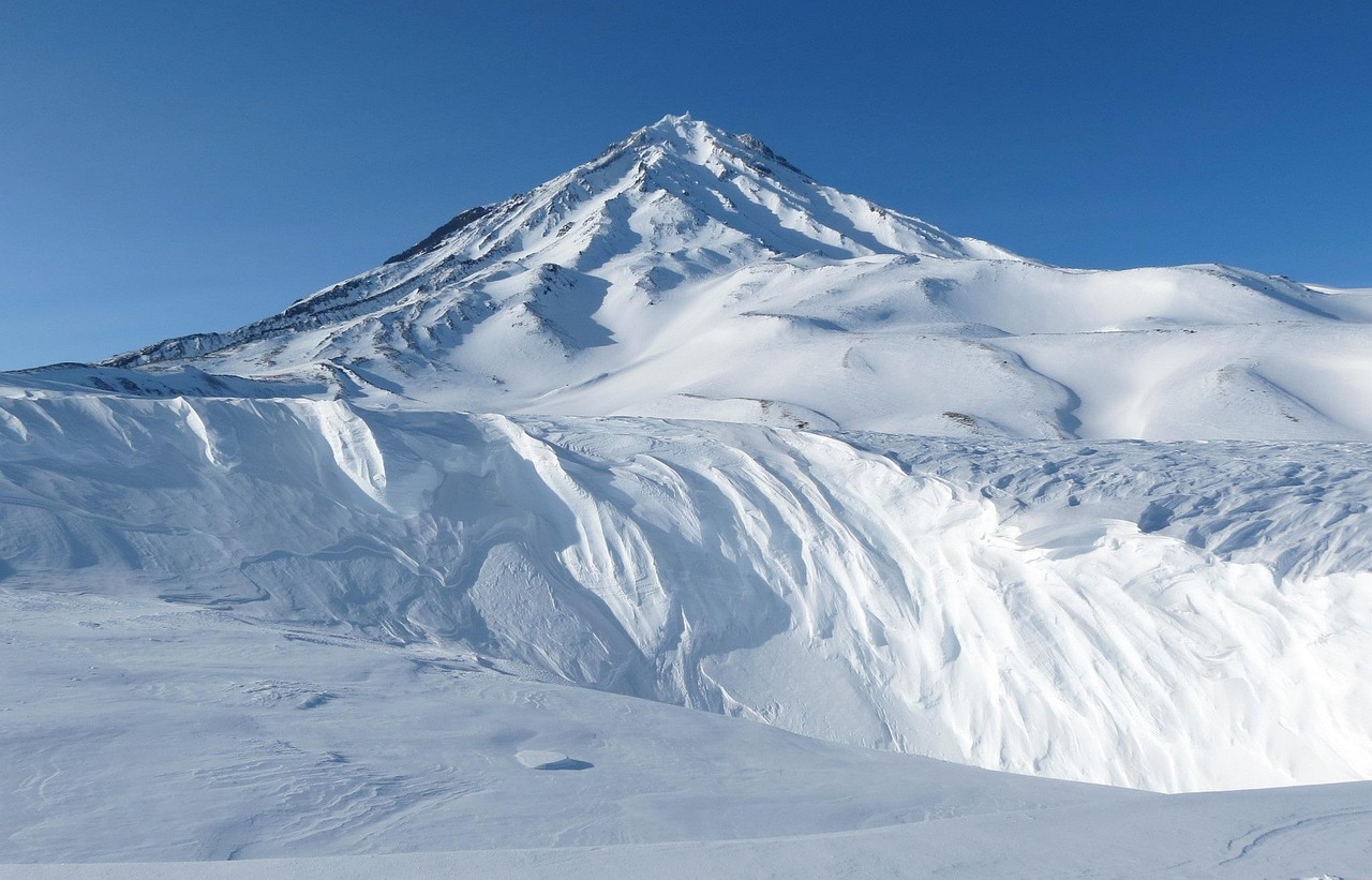 金山